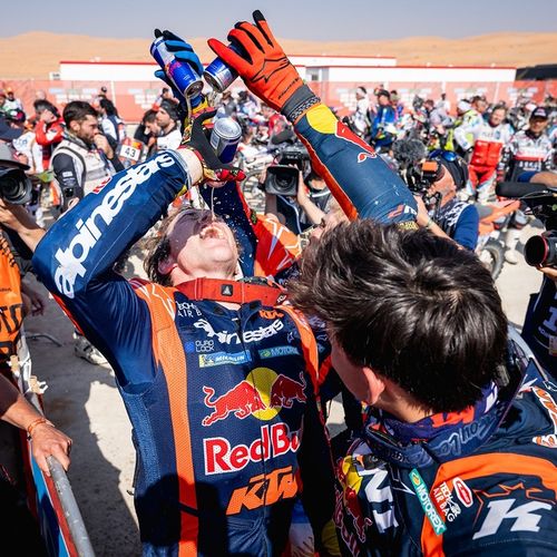 RED BULL Napój Energetyczny Energy Drink 8 PACK 250ml ZESTAW na Arena.pl