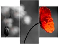 product-compare-58682078