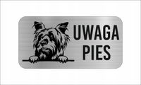 GRAWER Tabliczka nierdzewna 20x10 UWAGA PIES Australijski silky terier