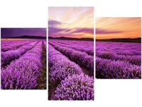 product-compare-58699084