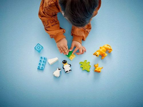 10442 - lego duplo - rodziny dzikich zwierząt: pingwiny i lwy na Arena.pl