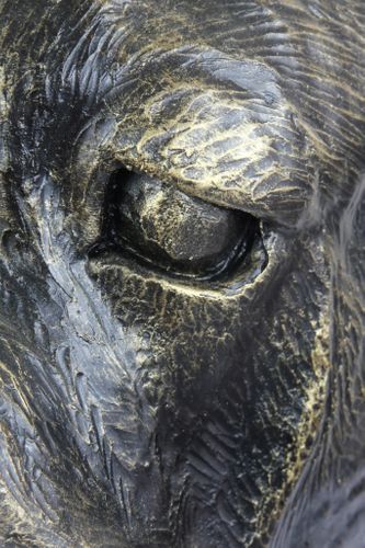 Cane Corso - figurka - 127 na Arena.pl