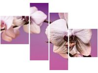 100 70CM OBRAZ 4 ELEM KWIATY DRUK PŁÓTNO RAMA