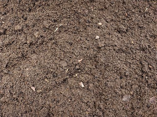 Podłoże dla żółwia greckiego stepowego do terrarium Testudo Soil Baby 25 L na Arena.pl