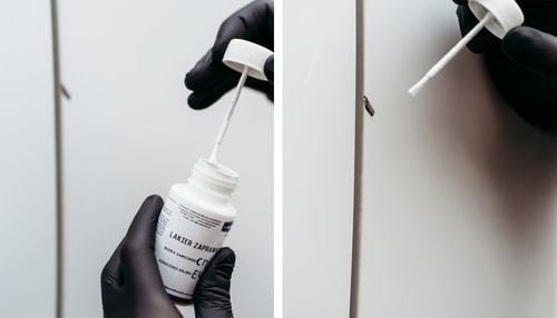 lakier zaprawkowy zaprawka samochodowy ral 1011 irchowo beżowy połysk 50 ml na Arena.pl