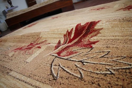 Dywan STANDARD OLSZA tan na Arena.pl