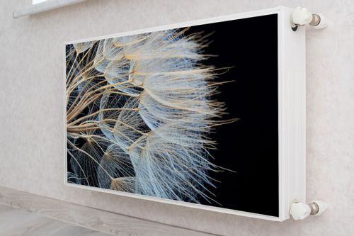 Mata MAGNETYCZNA Na Kaloryfer Nasiona Dmuchawca Efekt 3D 110cm x 60cm na Arena.pl