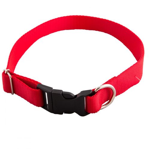 Obroża 25mm/50-70cm klik na Arena.pl