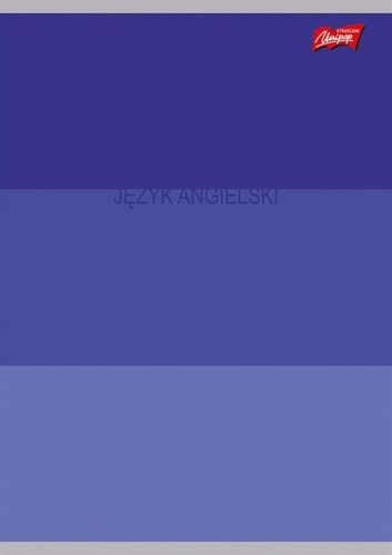 Zestaw Zeszyty Przedmiotowe A5 60k (ściąga) Color Stripes na Arena.pl