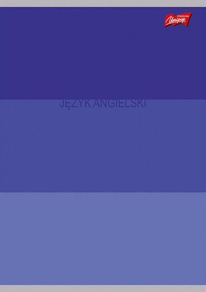 Zestaw Zeszyty Przedmiotowe A5 60k (ściąga) Color Stripes zdjęcie 10