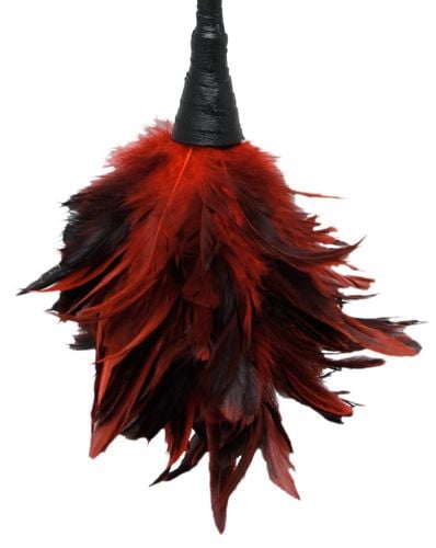 ffs frisky feather duster na Arena.pl