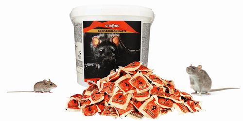 STRONG TRUTKA PASTA na GRYZONIE 3 kg bromadiolon na Arena.pl