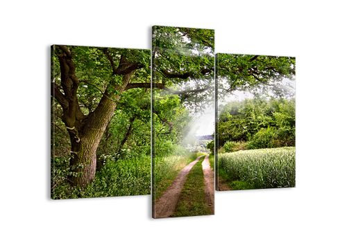 Obraz Na Płótnie - Las Pole Droga - 95X80 Cm - Cb95X80-2637 na Arena.pl