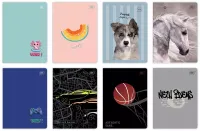 Zeszyt W Kolorową Kratkę. A5 32K