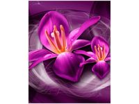 40X50CM RÓŻOWE KOSMICZNE KWIATY JAKUB BANAŚ OBRAZ