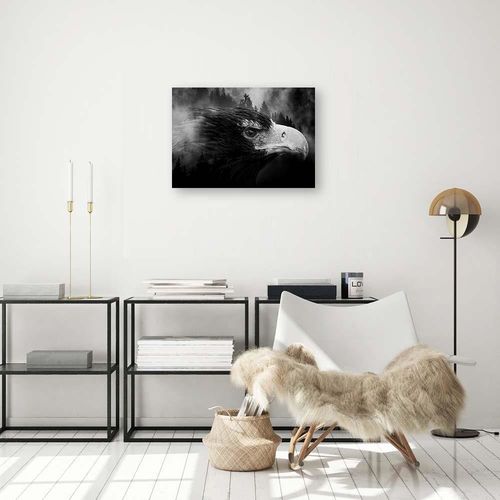 Deco Panel, ptak orzeł 70x50 na Arena.pl