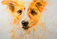 product-compare-59395835