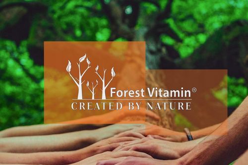 FOREST ASHWAGANDHA EKSTRAKT 700mg 9% NAJMOCNIEJSZA na Arena.pl