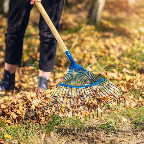 Grabie Do Liści Trawy Stalowy Drut zdjęcie 7
