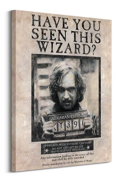 Harry Potter (Wanted Sirius Black) - Obraz na płótnie 60x80 cm zdjęcie 1