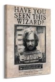 Harry Potter (Wanted Sirius Black) - Obraz na płótnie 60x80 cm