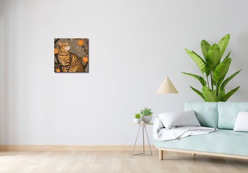 Obraz 40x40cm Gdzie z Tymi Łapami na Arena.pl