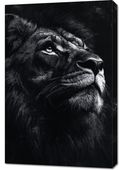 Obraz 60x90cm Portret Zwierząt do Salonu Pokoju |  Lew | Czarno Białe