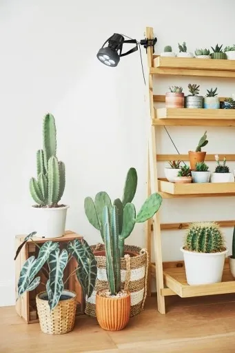 VERTICANA oprawa na klips z włącznikiem kablem 2m zdjęcie 7