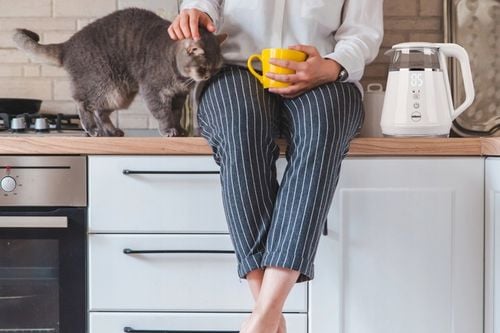 Czajnik bezprzewodowy z regulacją temperatury C505B Eldom 1100W 1L na Arena.pl