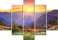 product-compare-58696532