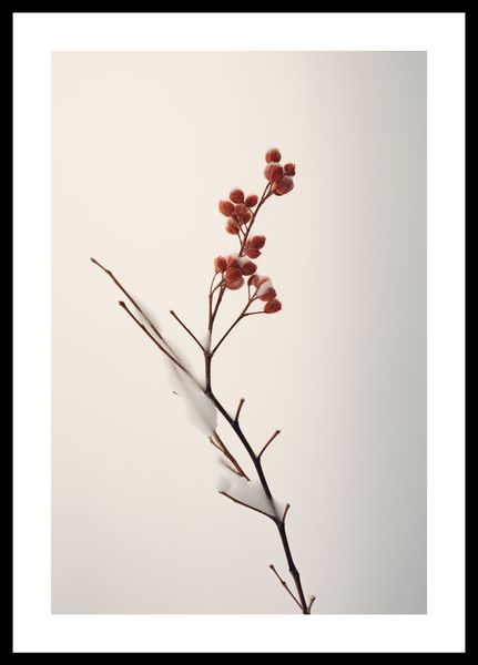 Plakat 30x45cm Subtelna Siła Zimy zdjęcie 3