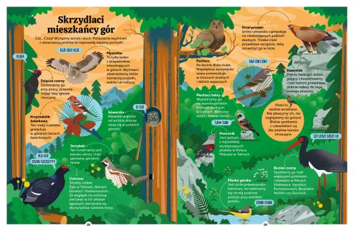 Poradnik młodych górzystów na Arena.pl