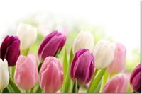 product-compare-58694597