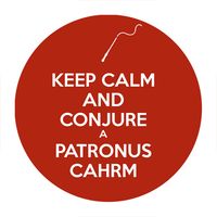 Przypinka Harry Potter