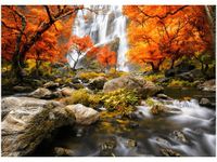 50X70CM JESIENNY WODOSPAD OBRAZ POKOJU DREWNINE