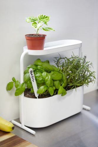 Doniczka Giardino MICROUSBCABLE1 na Arena.pl