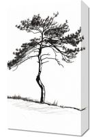 Obraz 30x50cm Samotna Sosna