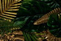 Tło fotograficzne Produktowe FLAT LAT Kulinarne