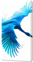 Obraz 50x100cm Błękitny Lot