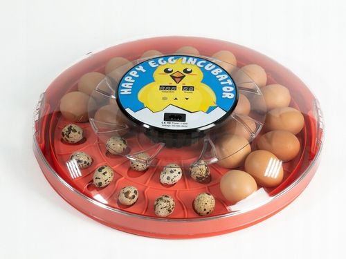 INKUBATOR klujnik wylęgarka do 30 JAJ drób kaczki na Arena.pl