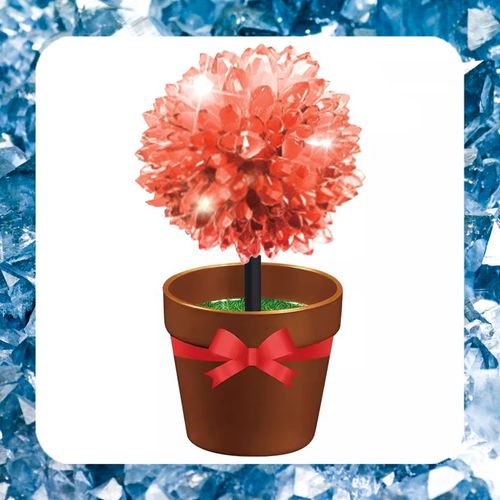 HODOWLA KRYSZTAŁÓW KRYSZTAŁY Eksperyment Edukacyjny 6 Drzewek Zestaw XXL na Arena.pl