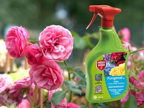 FUNGIMAT AL ŚRODEK GRZYBOBÓJCZY DO RÓŻ I ROŚLIN OZDOBNYCH 1L PROTECT GARDEN na Arena.pl