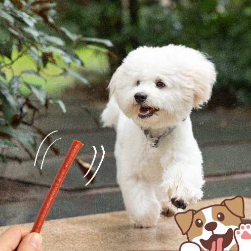 Smaczki przysmaki dla psa paluszki z jagnięciny 500g PAWFECT BITES na Arena.pl