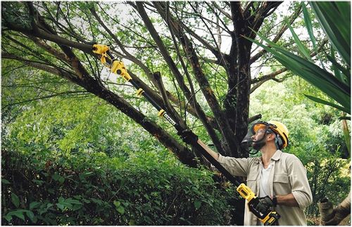 PIŁA ŁAŃCUCHOWA AKUMULATOROWA 6" DO GAŁĘZI DREWNA GAŁĘZIÓWKA 2x AKUMULATOR na Arena.pl