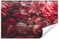 Fototapeta Do Salonu Czerwone KWIATY 3D 450cm x 300cm