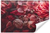 Fototapeta Do Salonu Czerwone KWIATY 3D 270cm x 180cm