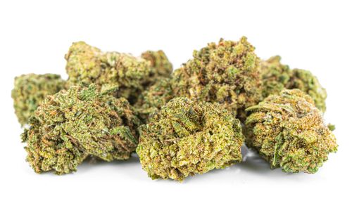 CBD SUSZ KONOPNY | GOLDEN BUD PREMIUM 50g na Arena.pl