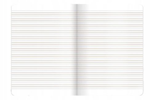 8X ZESZYT A5 32 KARTKI PUSHEEN 4x TRZY LINIA + 4x KRATKA KAŻDA OKŁADKA INNA na Arena.pl