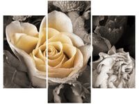 product-compare-58710579