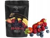 Pokarm dla gekonów Gecko Nutrition OWOCE LEŚNE 50g